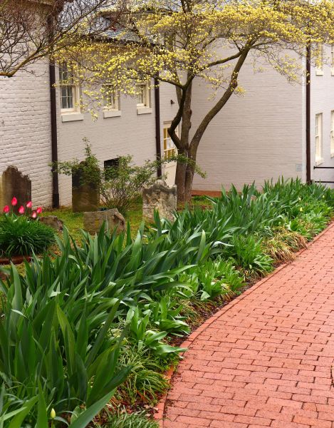 Brick Flatwork Repair in Richmond